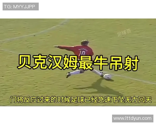 足球明星中学历最高的球员是谁他的教育背景如何影响职业生涯