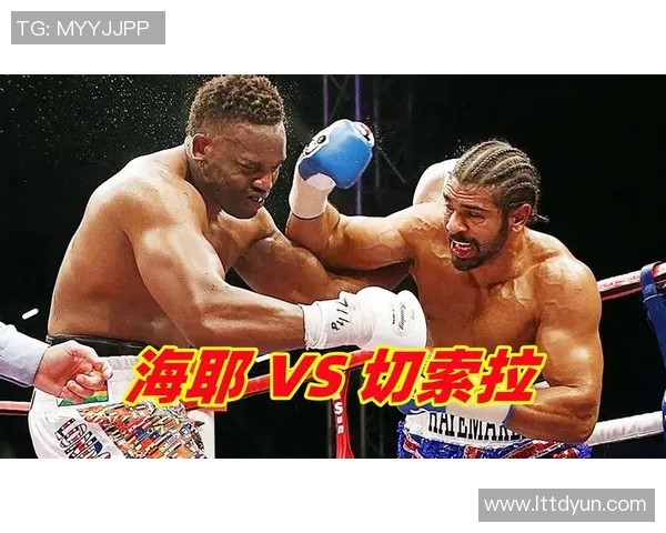拳王海耶与贝卢的巅峰对决谁将成为新的拳坛传奇
