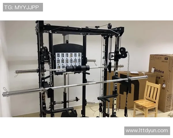 全面解析社区健身器材种类与使用指南助您健康生活每一天