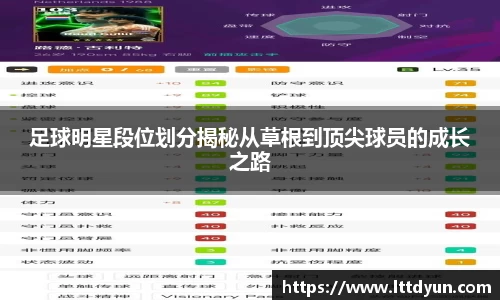 足球明星段位划分揭秘从草根到顶尖球员的成长之路