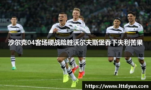 沙尔克04客场硬战险胜沃尔夫斯堡吞下失利苦果