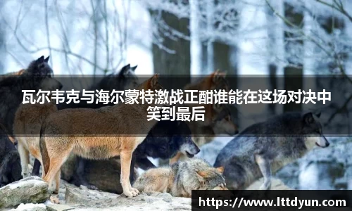 中欧体育平台