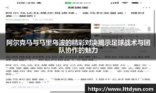 中欧体育